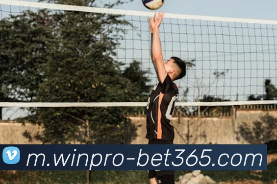 bet365APP 高清赛事图